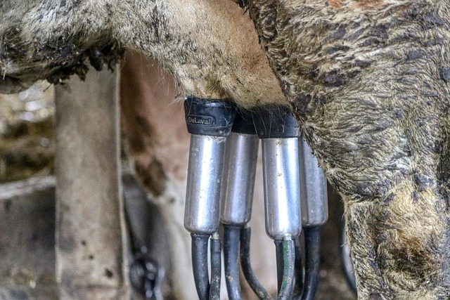 farm cooperative meeting with shared decision making and governance agenda